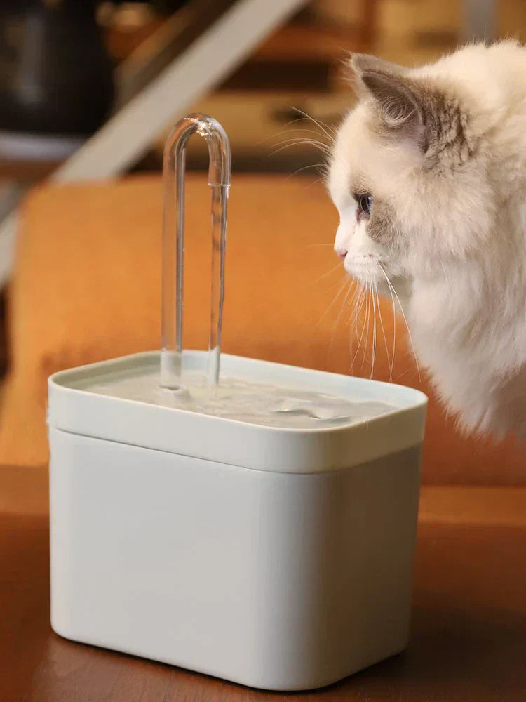 Fontana Silenziosa per Gatti e Cani